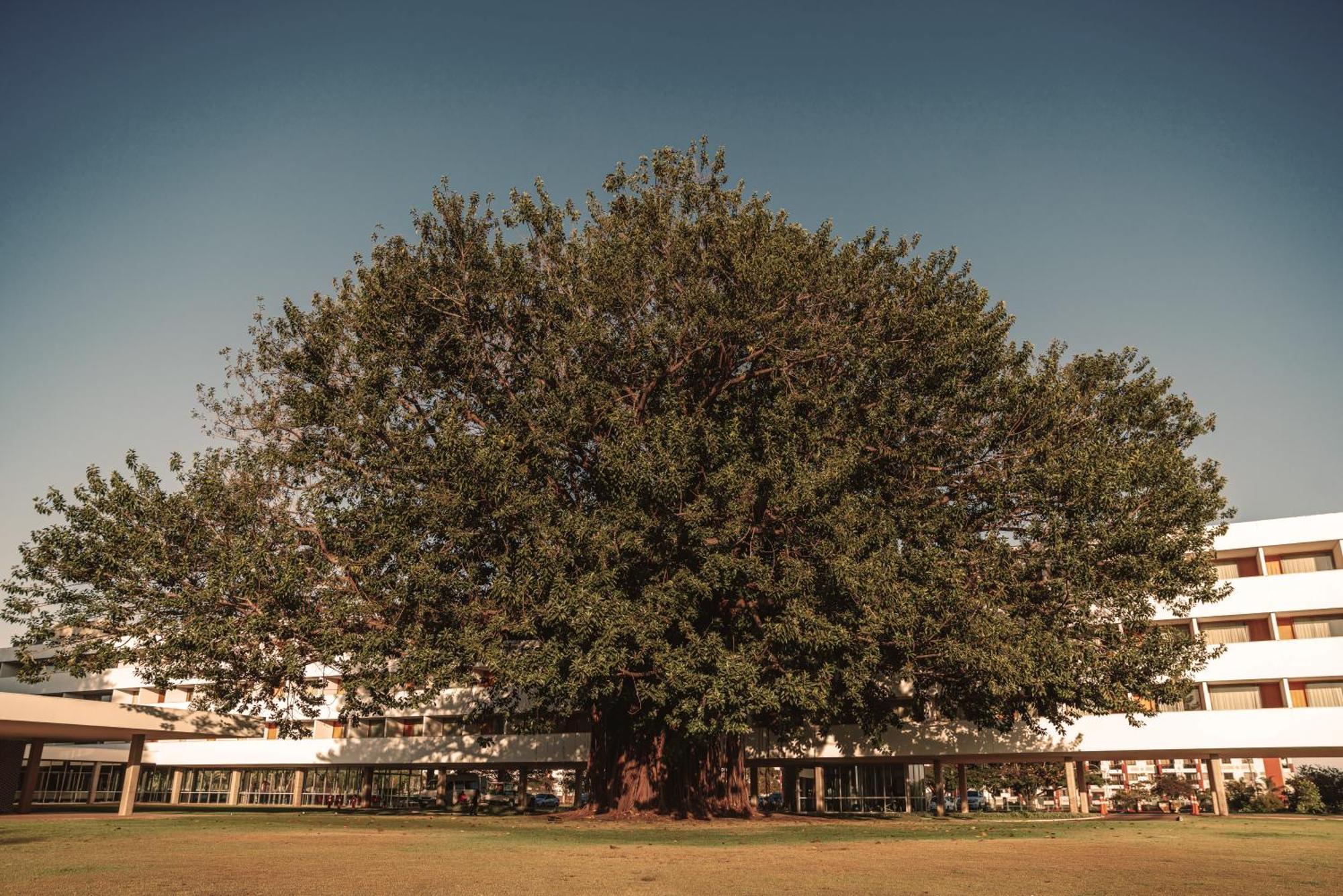 Brasilia Palace Hotel Bagian luar foto